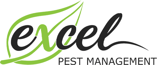 Excel Pest Management